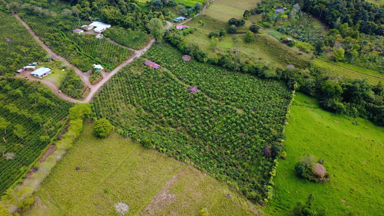 Countryside Agricultural Land For Sale in Santa Elena de San Isidro