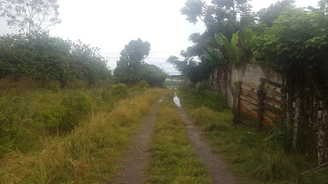 Countryside Development Parcel For Sale in Cariari - photo 7