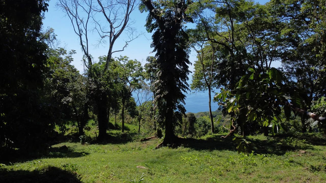 Exclusive 5.80 acres Ocean View Estate Lot in Costa Verde Estates – Escaleras - photo 15