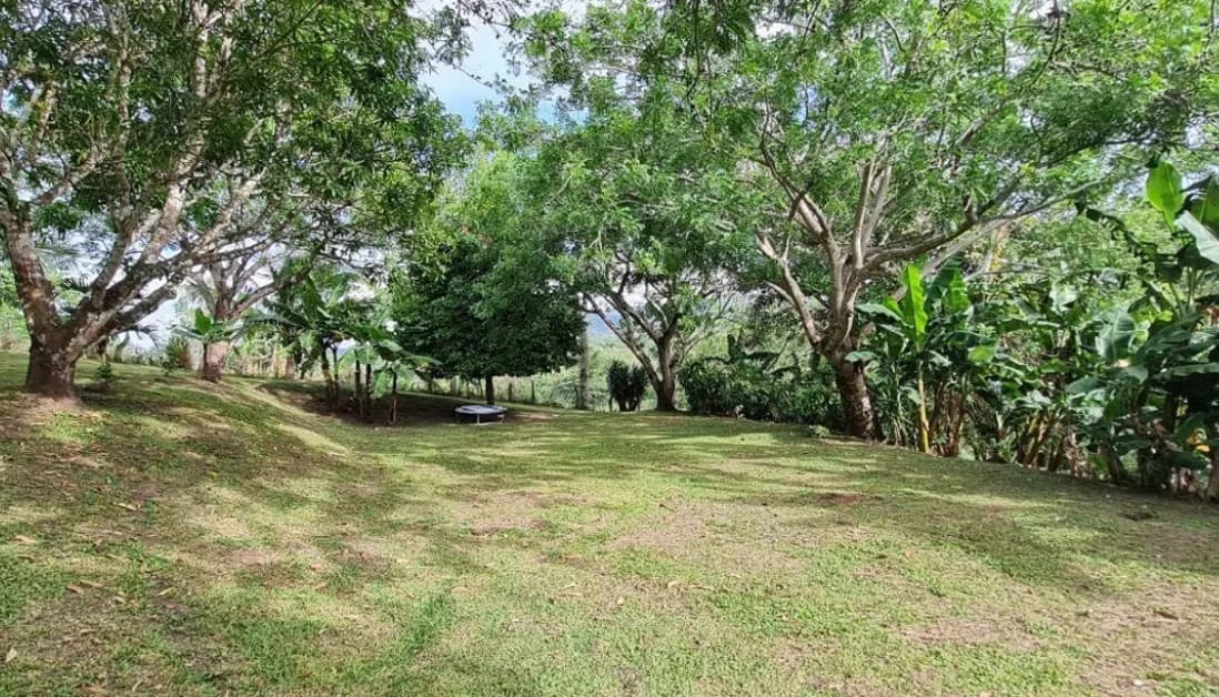 VILLA VIDA TRANQUILA - Modern Bright Home just above Lake Shore - photo 37