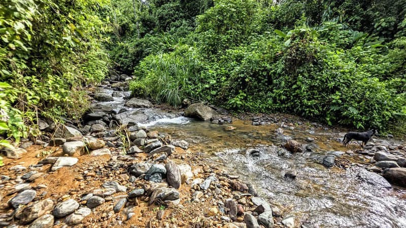 Waterfall Estate, Dos Bocas, Dominical Featuring Twin Waterfalls, Springs, Creeks & Rivers - photo 17