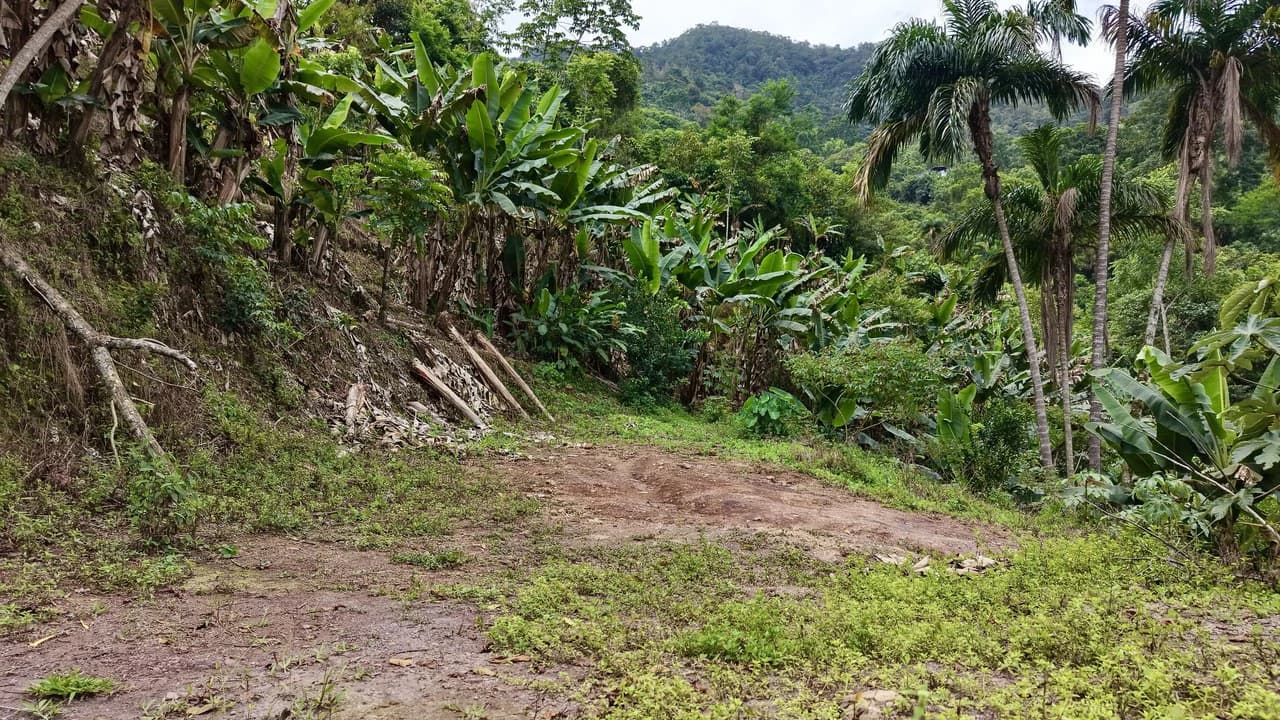 Countryside Home Construction Site For Sale in San Isidro del General - photo 8