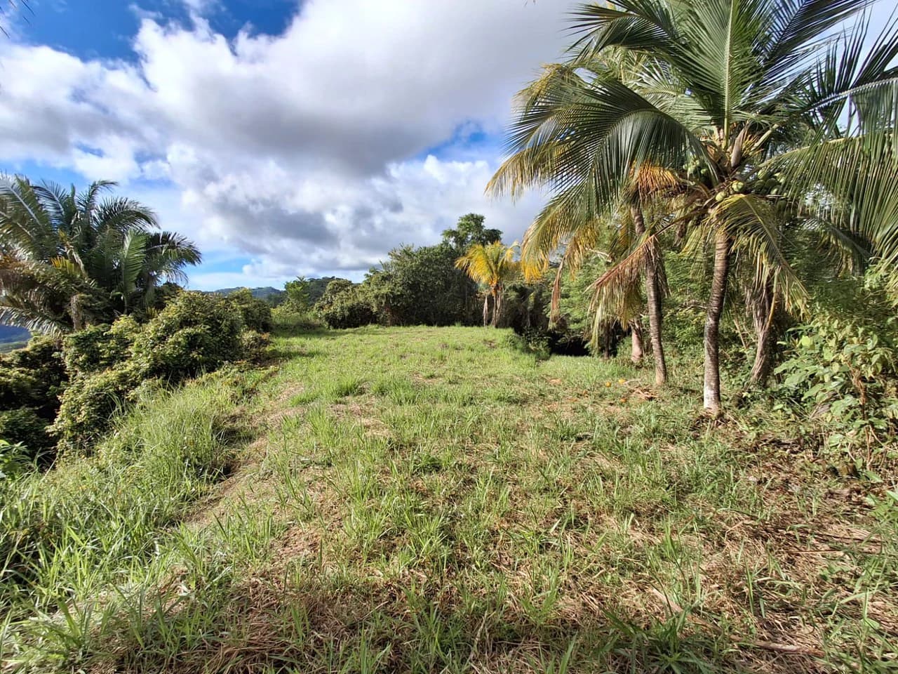 Hilltop Ocean Paradise: 10 ha (103,600m2) for private compound or development - photo 8