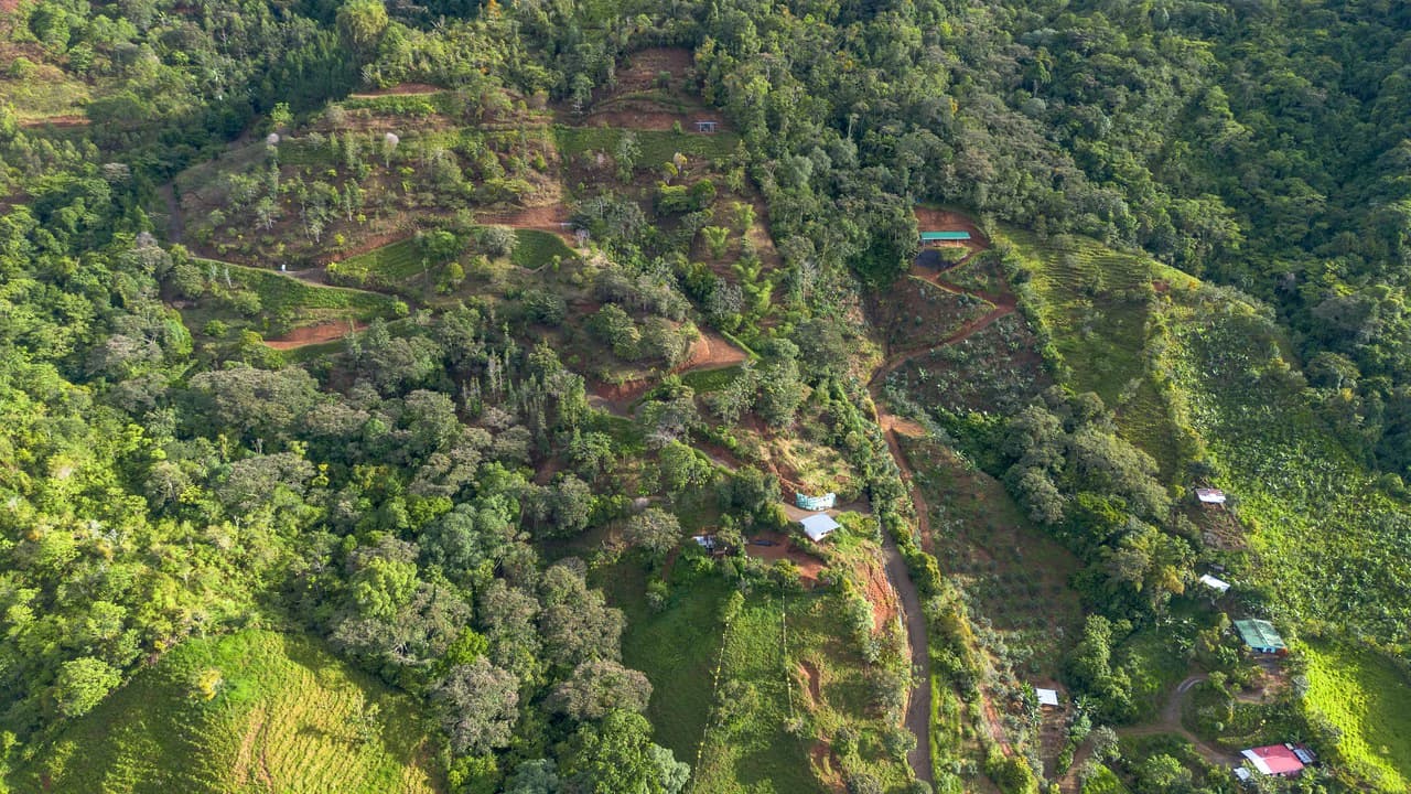 10.21 Acres with Views & Plantels – Pérez Zeledón - photo 29