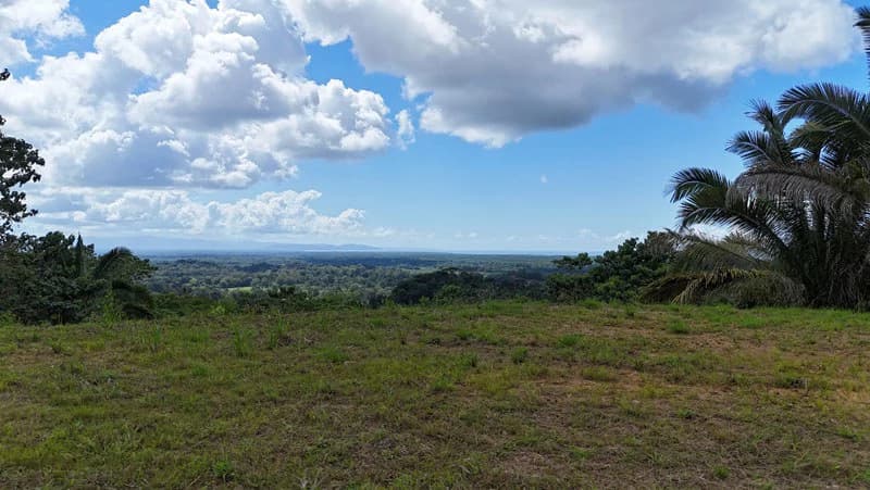 Gorgeous Ocean View Acreage in San Buenas - photo 9