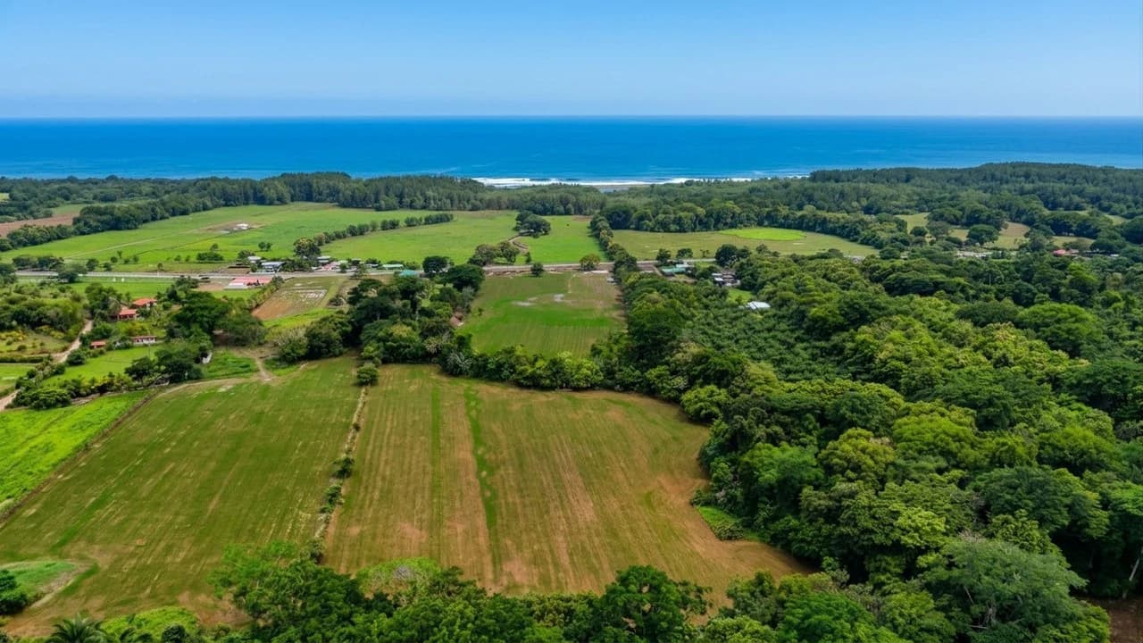 Near the Coast Agricultural Land For Sale in Matapalo - photo 6