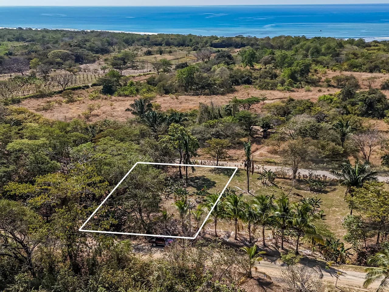 Lote Camaronal Natural: Half Acre Lot Just Mins to the Surf - photo 11
