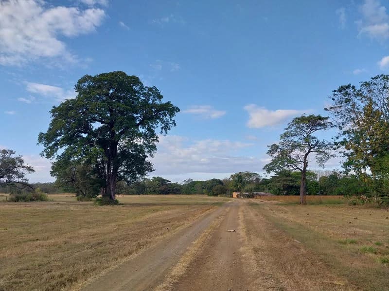 Development Parcel For Sale in Santa Cruz - photo 4