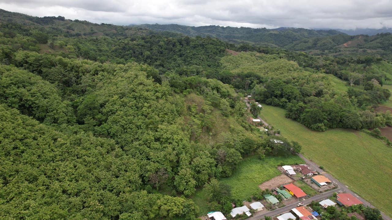 Finca Linda vista: Property for sale with flat land and small mountain with terrace to build and incredible views - photo 5