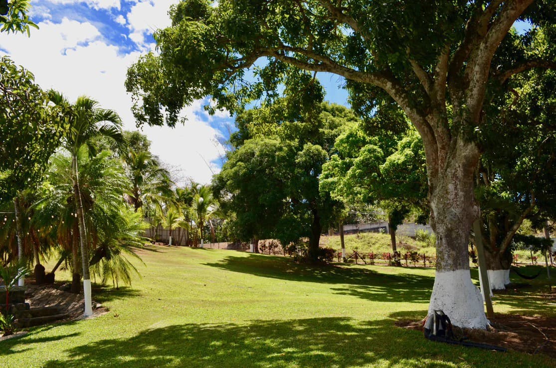 Country side property for sale in la Garita Alajuela - photo 22