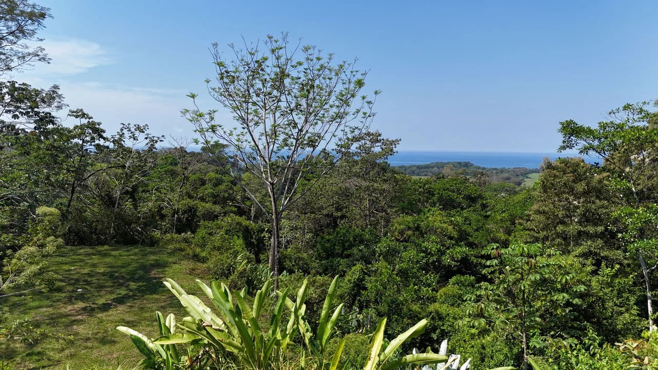 Exceptional Development Opportunity 71 acre Riverfront & Ocean View in Hatillo - photo 17