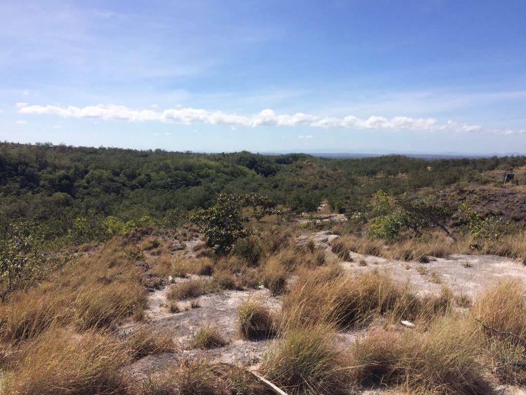 Large Property in Curubandé of Liberia