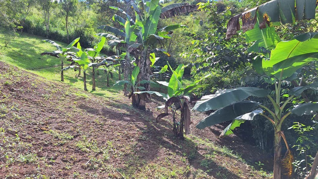 Countryside Home Construction Site For Sale in El Rosario de Pacuar - photo 9