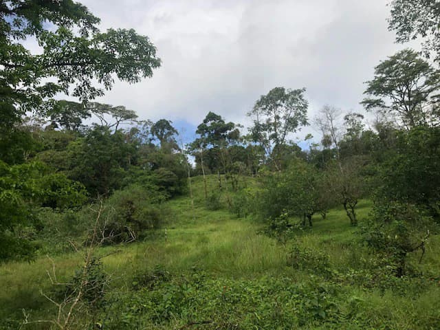 Hot and Cold Thermal Springs for Sale – Beautiful Property in Dos Ríos, Alajuela with Excellent Commercial Potential - photo 22