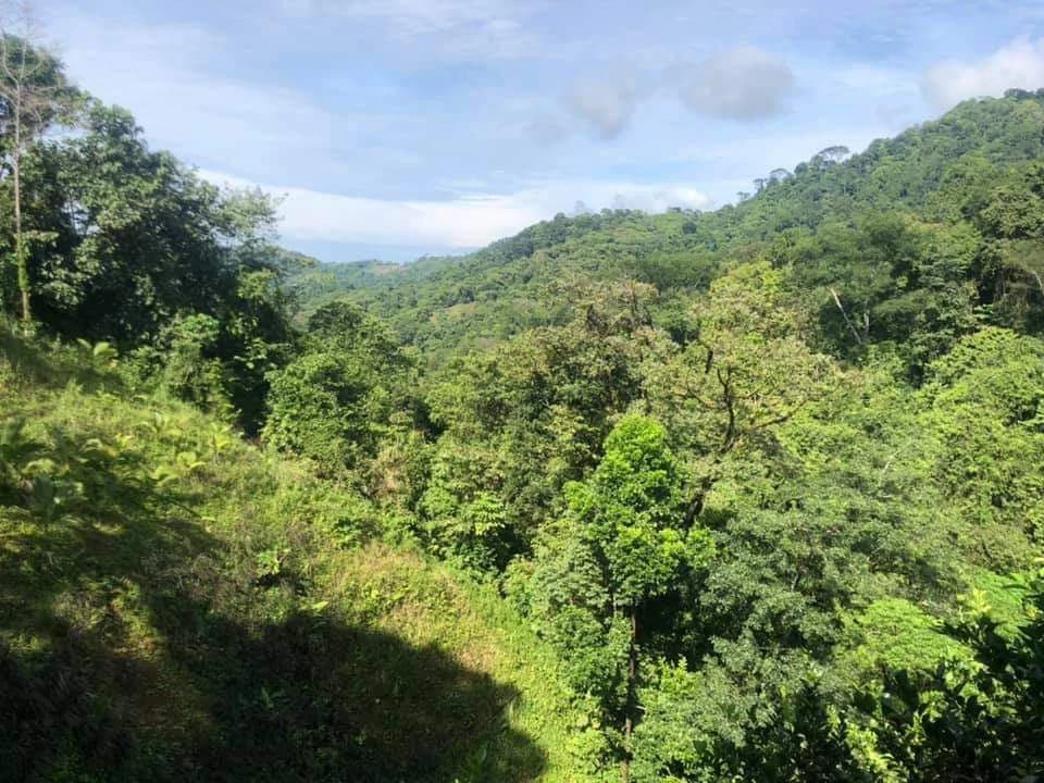 SECLUDED PARADISE WITH STUNNING VIEWS, WATERFALLS & ABUNDANT WILDLIFE - photo 15