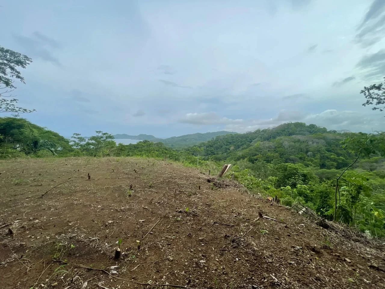 $250,000 USD EXCEPTIONAL 5,608 m² (1.39-acre) property: 1.39-Acre Ocean View Property, Near Paquera & Isla Tortuga - photo 7