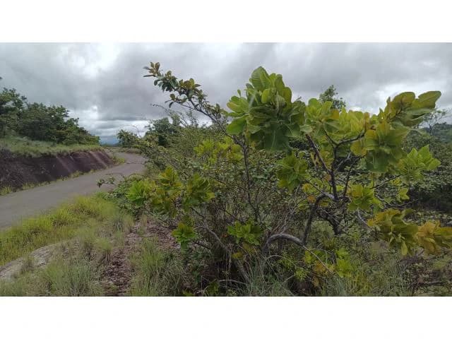 Huge Tico-Farm for sale with a big house in the mountains of Liberia, surrounded by nature and fantastic valley views - photo 28