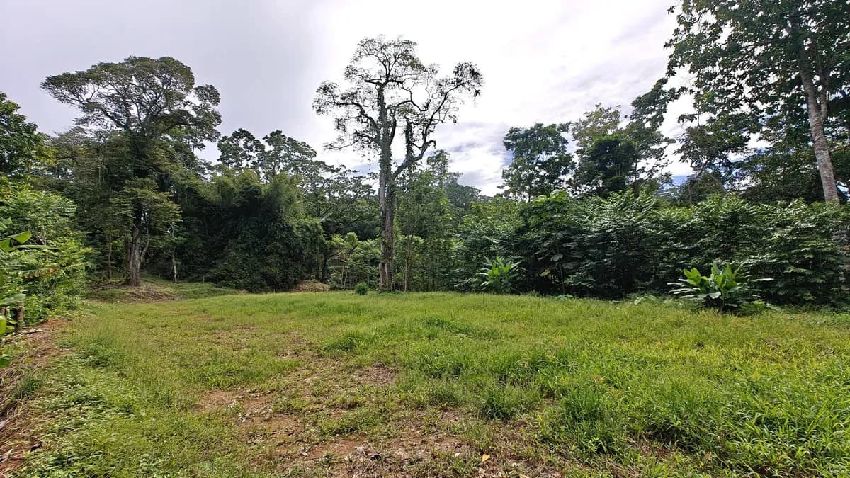ID 345: 6,763m² Ocean View Development Land for Sale in Puerto Viejo - photo 3