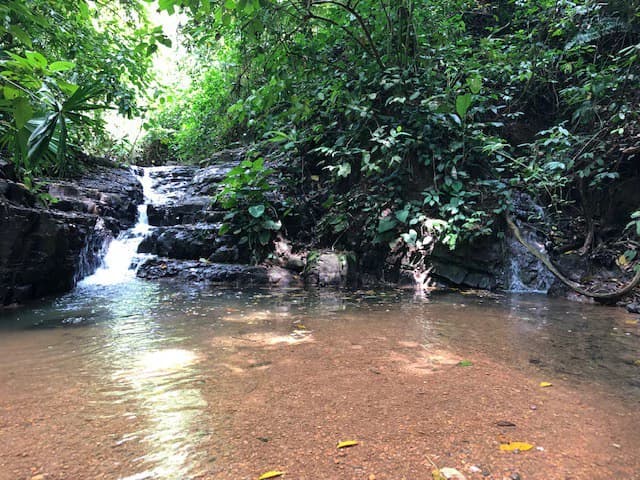 6.5 ACRES – Space To Grow, Build & Thrive, Close To The Beach & Commercial Potential Road Frontage!!!!!: Mountain and Countryside Development Parcel For Sale in Platanillo de Dominical - photo 11