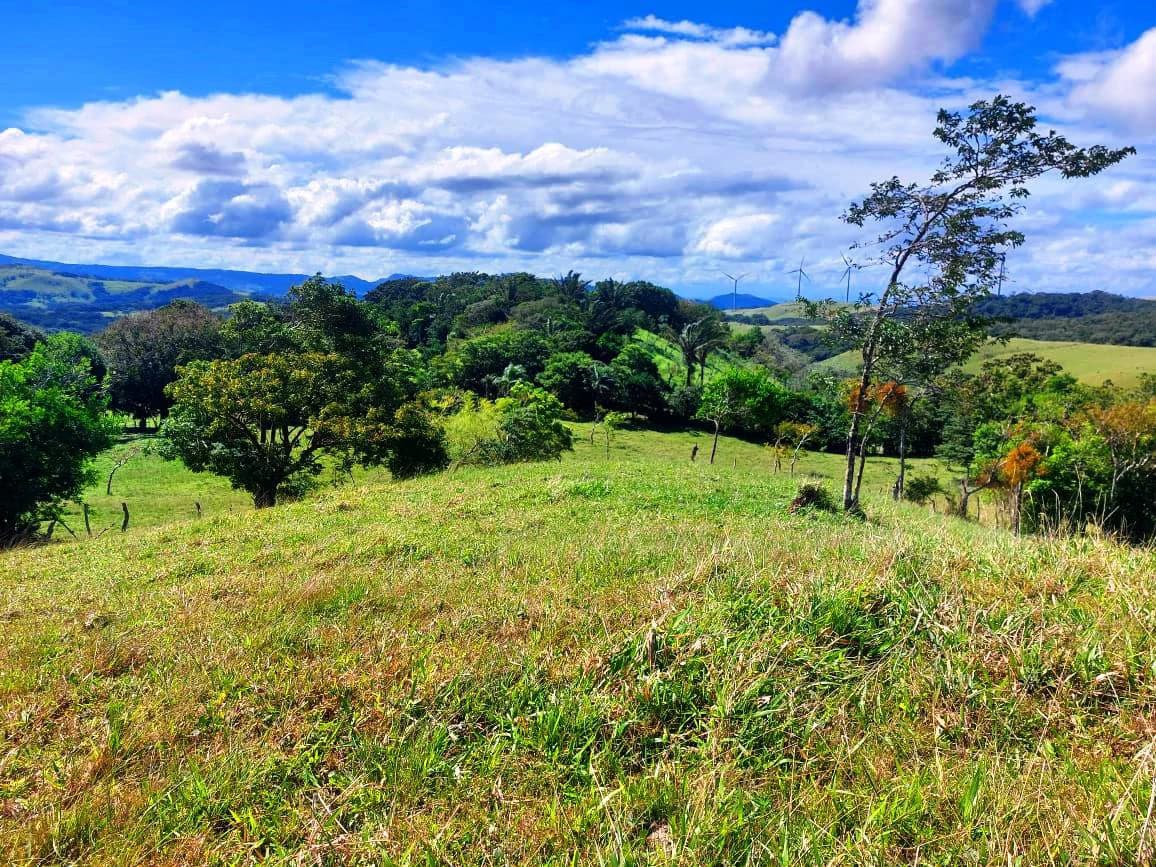 LA CABAÑA - 13+ ACRES & a TINY HOUSE & outstanding VIEWS - REDUCED PRICE - SELLER MOTIVATED - photo 23