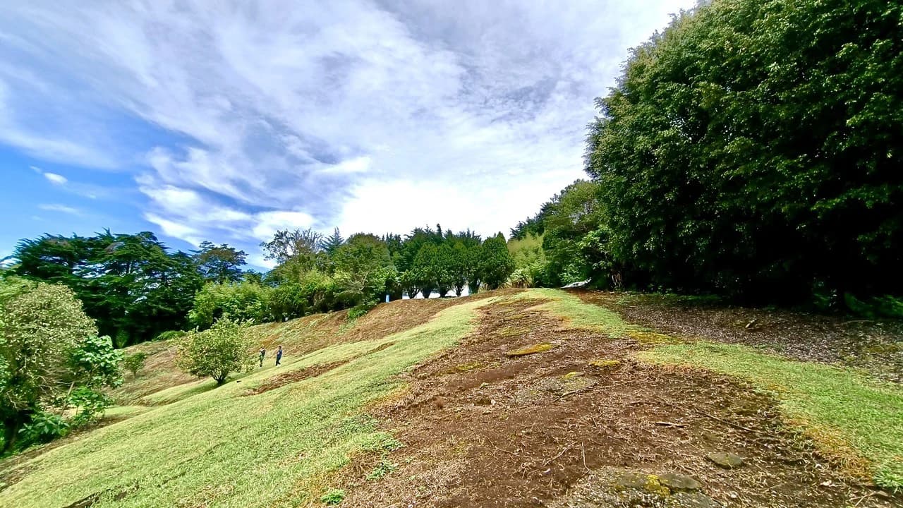 Farm for sale in Santa Barbara de Heredia - photo 33