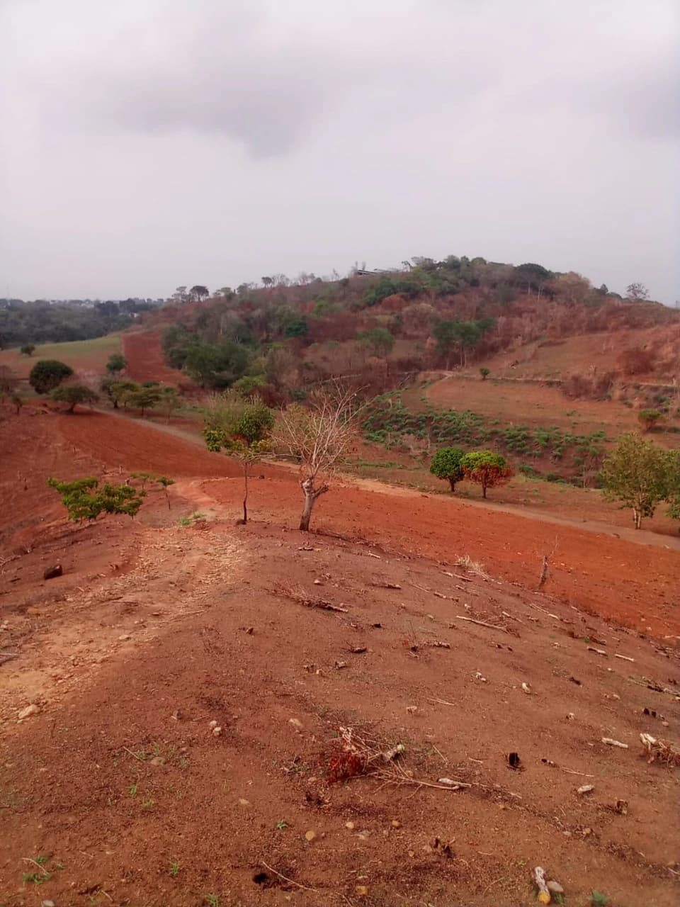 THE JEWEL OF GRECIA: $20m2 - 10 Hectares of Unlimited Potential! - photo 3