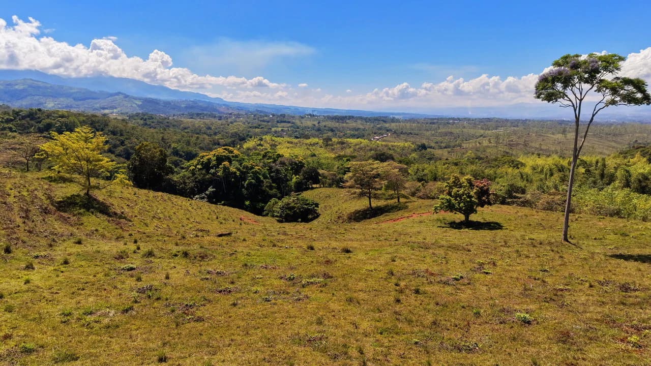 Agricultural Land For Sale in MORAZAN - photo 12