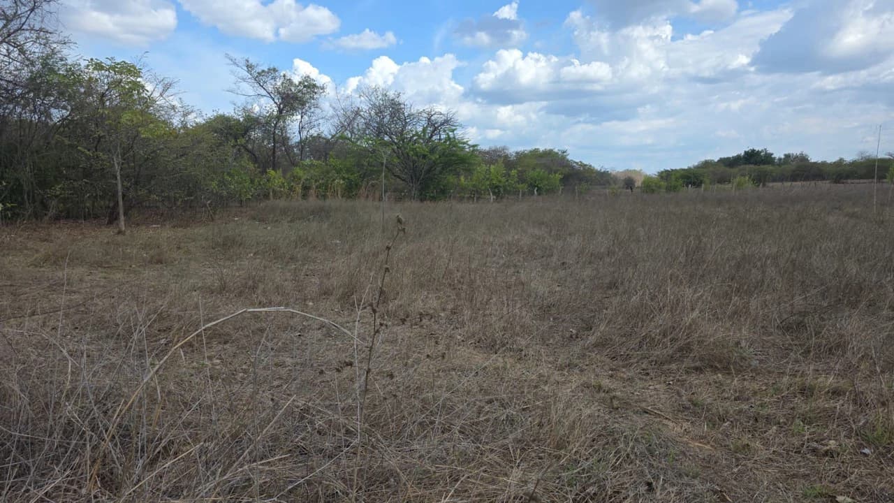 Property for Sale Near Liberia Airport with High Exposure and 60 Meters Frontage on Route 21, with Public Utilities - photo 4