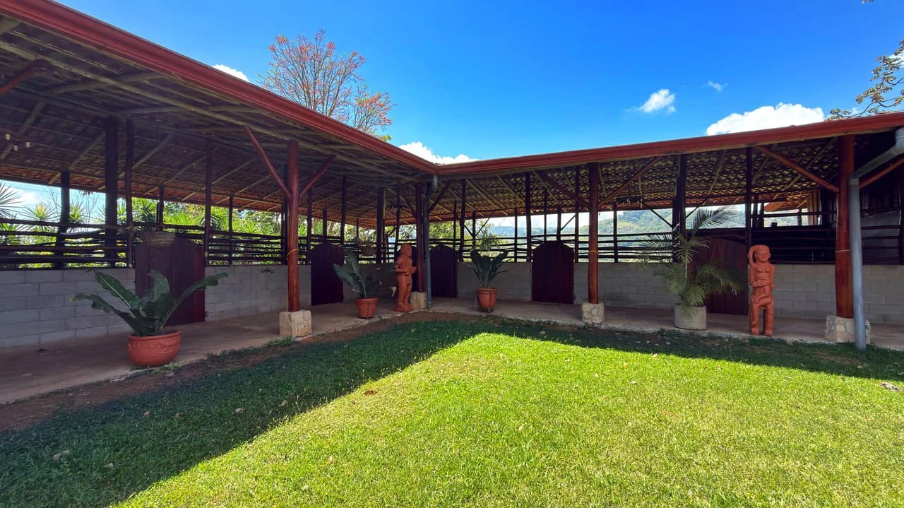 Agricultural Land For Sale in Daniel Flores - photo 29