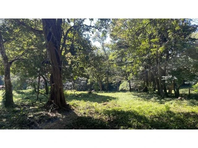Nature Paradise Farm for sale in the mountains of Quebrada Grande, Building potential property 30 minutes away from Liberia - photo 2