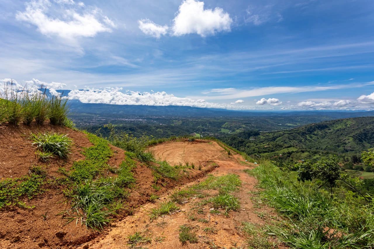 12 Acre Fruit Farm Above San Isidro City Lights Chirripó Views and Deep Well Water - photo 20