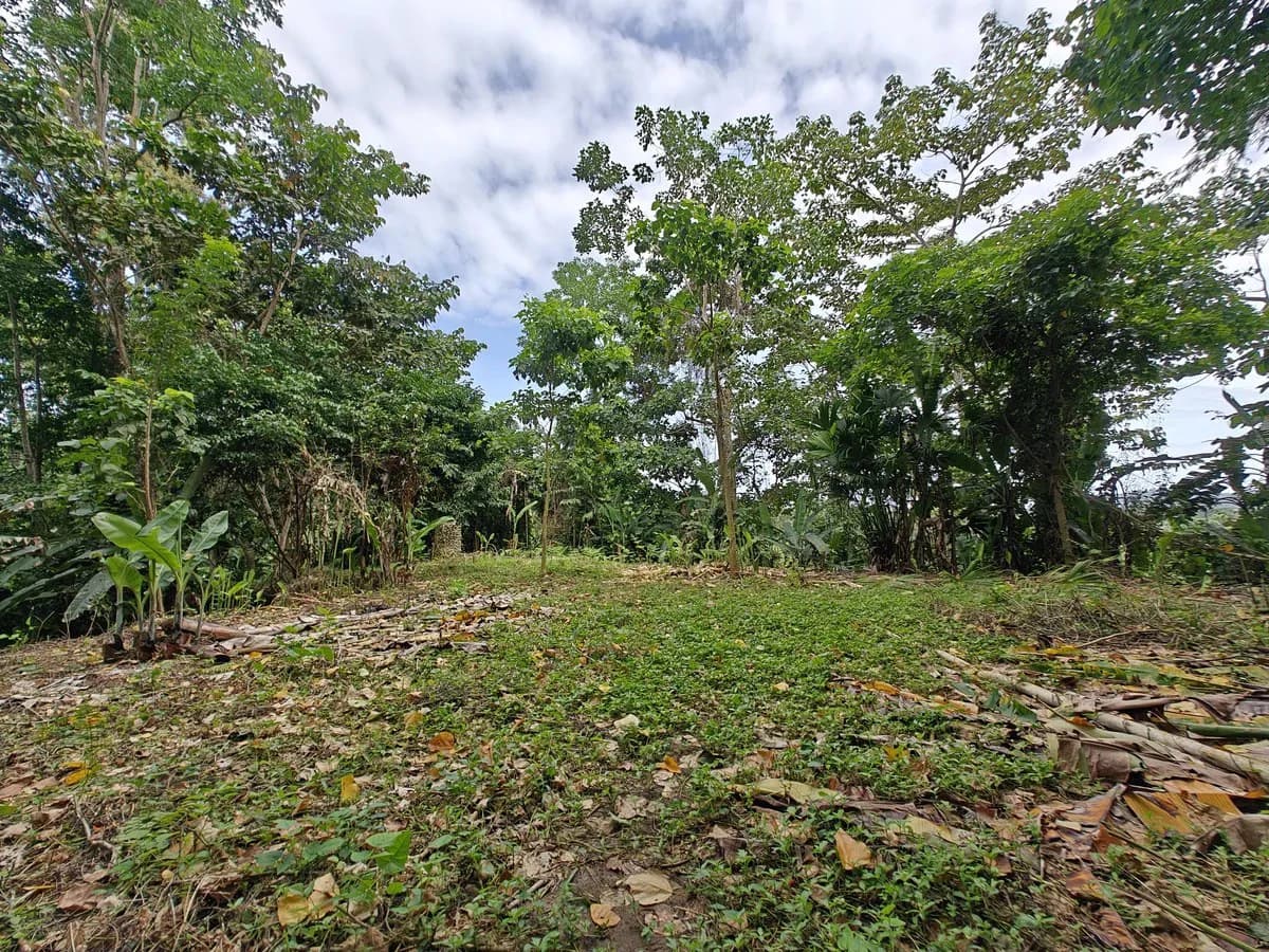 ID 707: Lot 2 - 5,143m² Mountain Edge Sanctuary