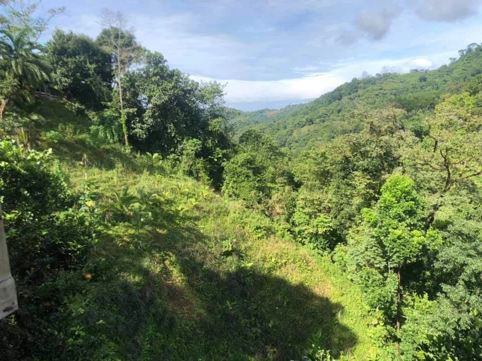 SECLUDED PARADISE WITH STUNNING VIEWS, WATERFALLS & ABUNDANT WILDLIFE - photo 47