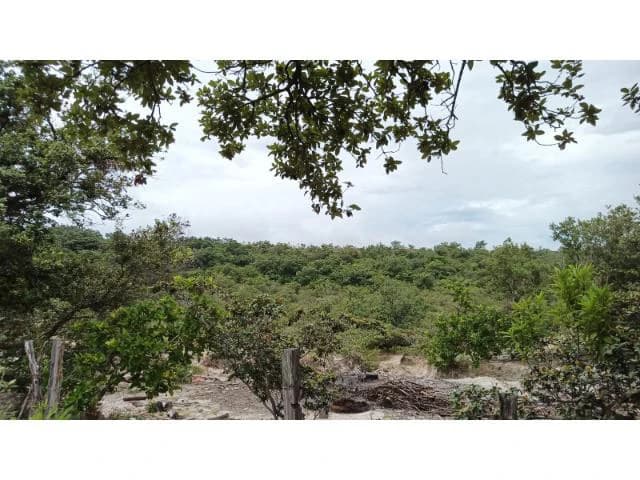 Huge Tico-Farm for sale with a big house in the mountains of Liberia, surrounded by nature and fantastic valley views - photo 30
