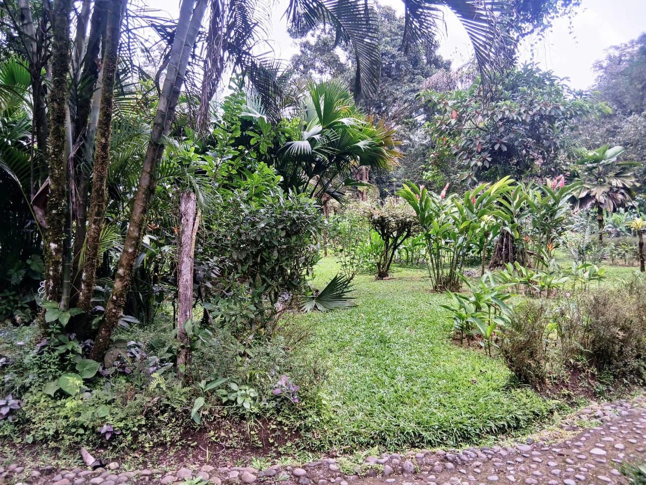 ECO TOURISM PARADISE: Turnkey Boutique Hotel in Nature! - photo 13