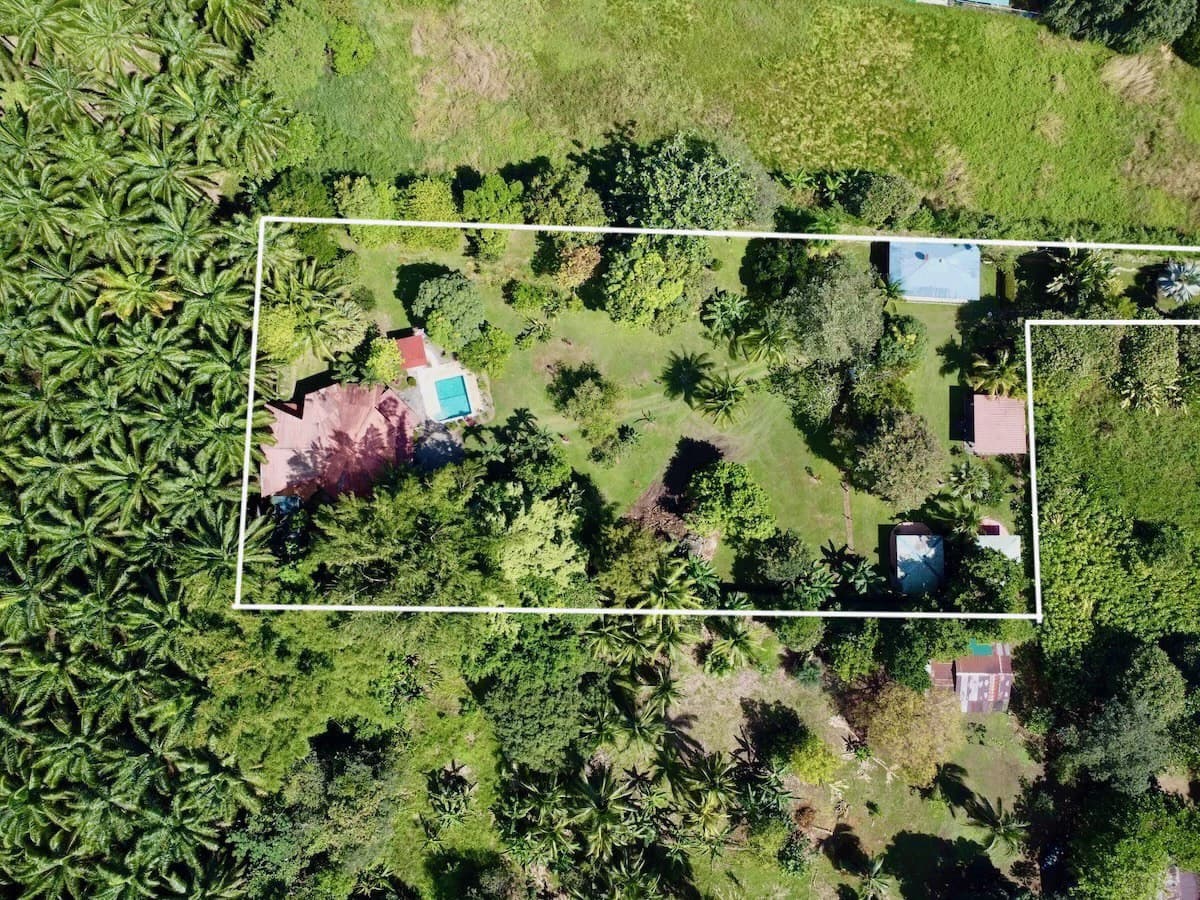 Osa Peninsula Turnkey Property Near Golfo Dulce Beach - photo 2