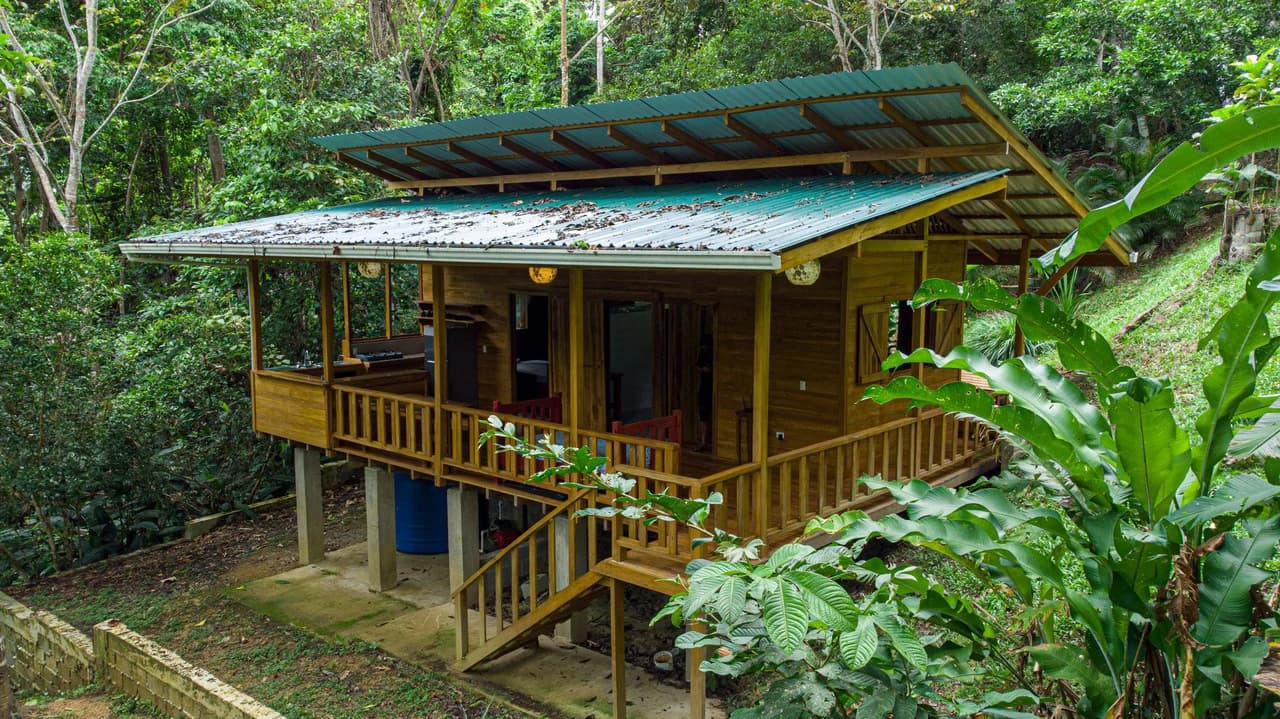 4 Bd/3 Ba - Two Caribbean Homes w/ Pool, on 5000m²: Dual Home Jungle Property in Punta Uva - photo 2