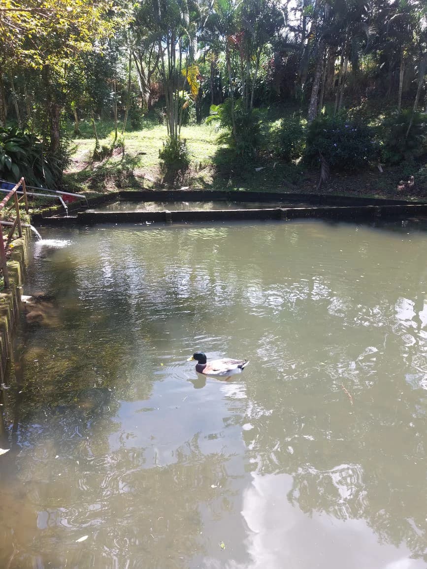 FINCA LA TEJONA - photo 2