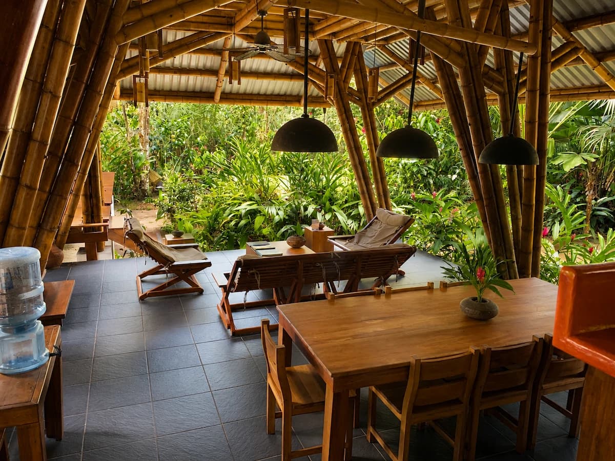Jungle Beach Exotic Retreat - photo 5