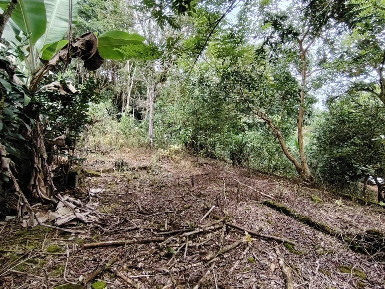 Home Construction Site For Sale in General Viejo - photo 17
