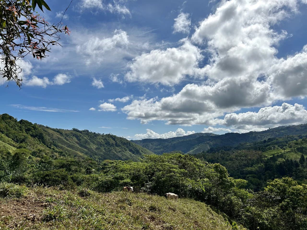 Finca Ceibo Memo: Mountain Home Construction Site For Sale in San Isidro del General - photo 38