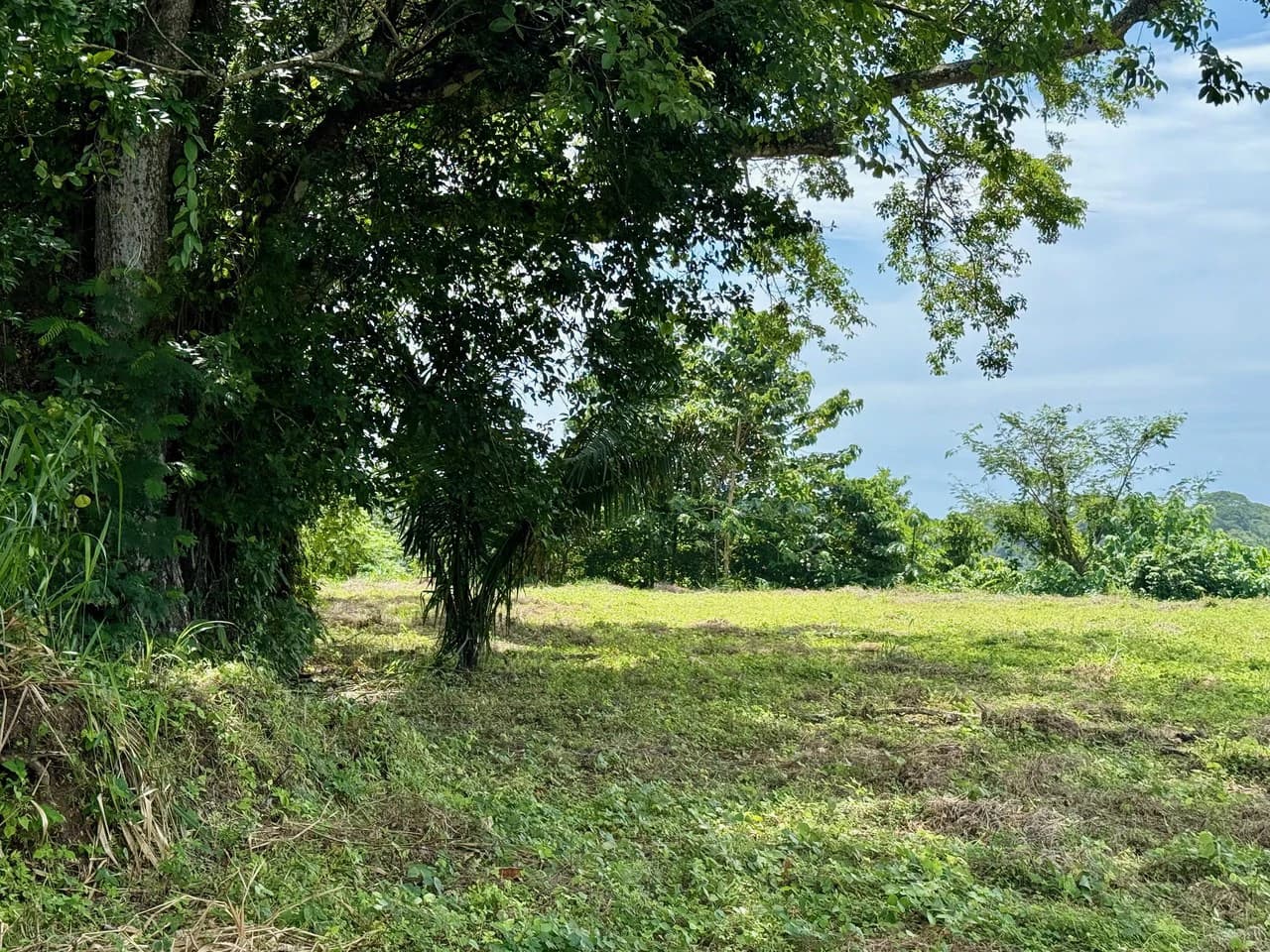 Ocean & Mountain View Property Near Santa Teresa with Impressive Building Platform Surrounded by Jungle: One of a Kind Lot Between Mal Pais and Cabuya - photo 2