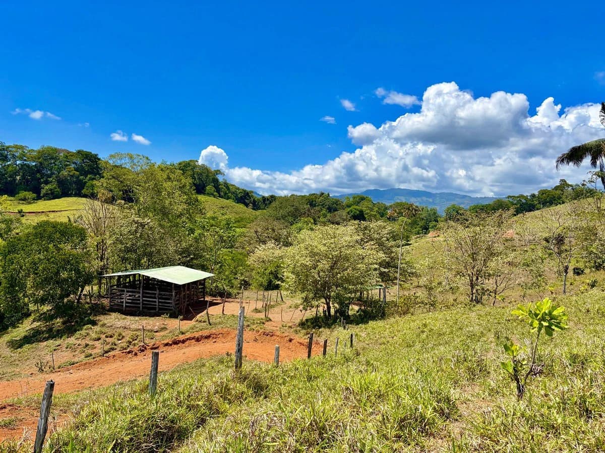 8.77 ACRES – Private Land Just 20 Min to Dominical, Beautiful Mountain Views, Legal Water, Electricity, Public Road, Private Setting, Ready to Build!!!!
