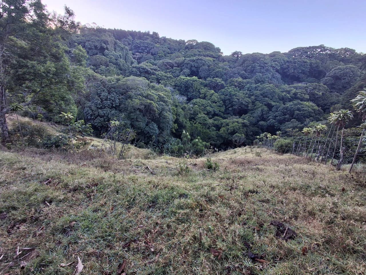 Cafetalero or Developer?: 25,378 m2 with Views of the Central Valley!! - photo 8