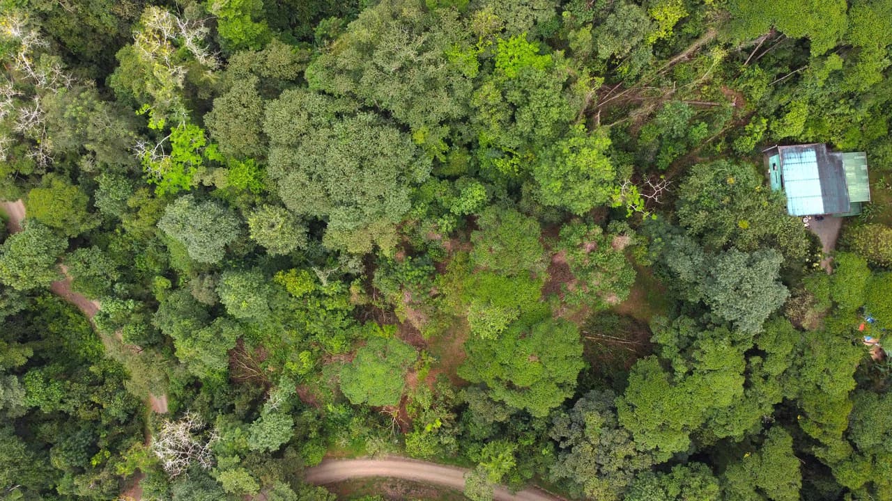 Mountain View Building Lot in Prestigious Gated Community With Private Waterfall & Two Building Sites: Mountain Home Construction Site For Sale in Portalon - photo 9