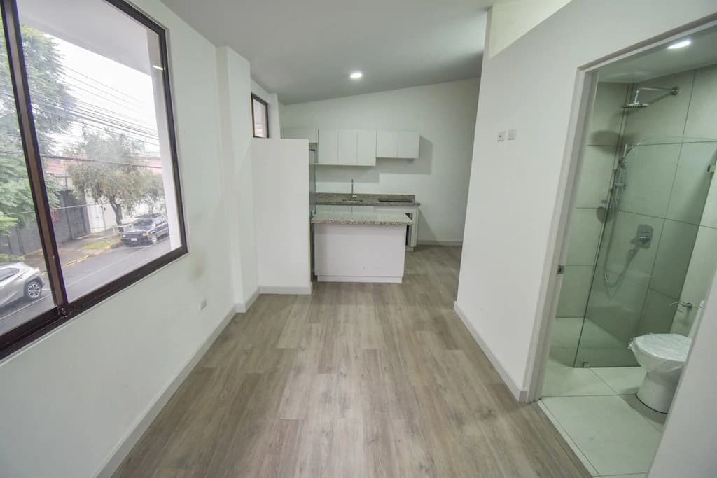 Apartamento con Línea Blanca de 1 Habitación en Barrio Escalante: Apartment For Sale in Barrio Escalante - photo 12