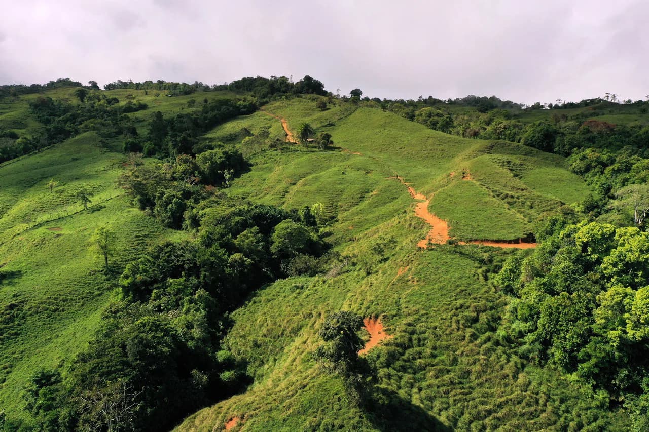 150 Acre Cattle Ranch with Panoramic Views Above the mountains of Uvita - photo 16