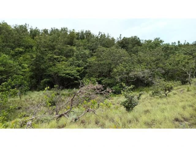 Huge Tico-Farm for sale with a big house in the mountains of Liberia, surrounded by nature and fantastic valley views - photo 31