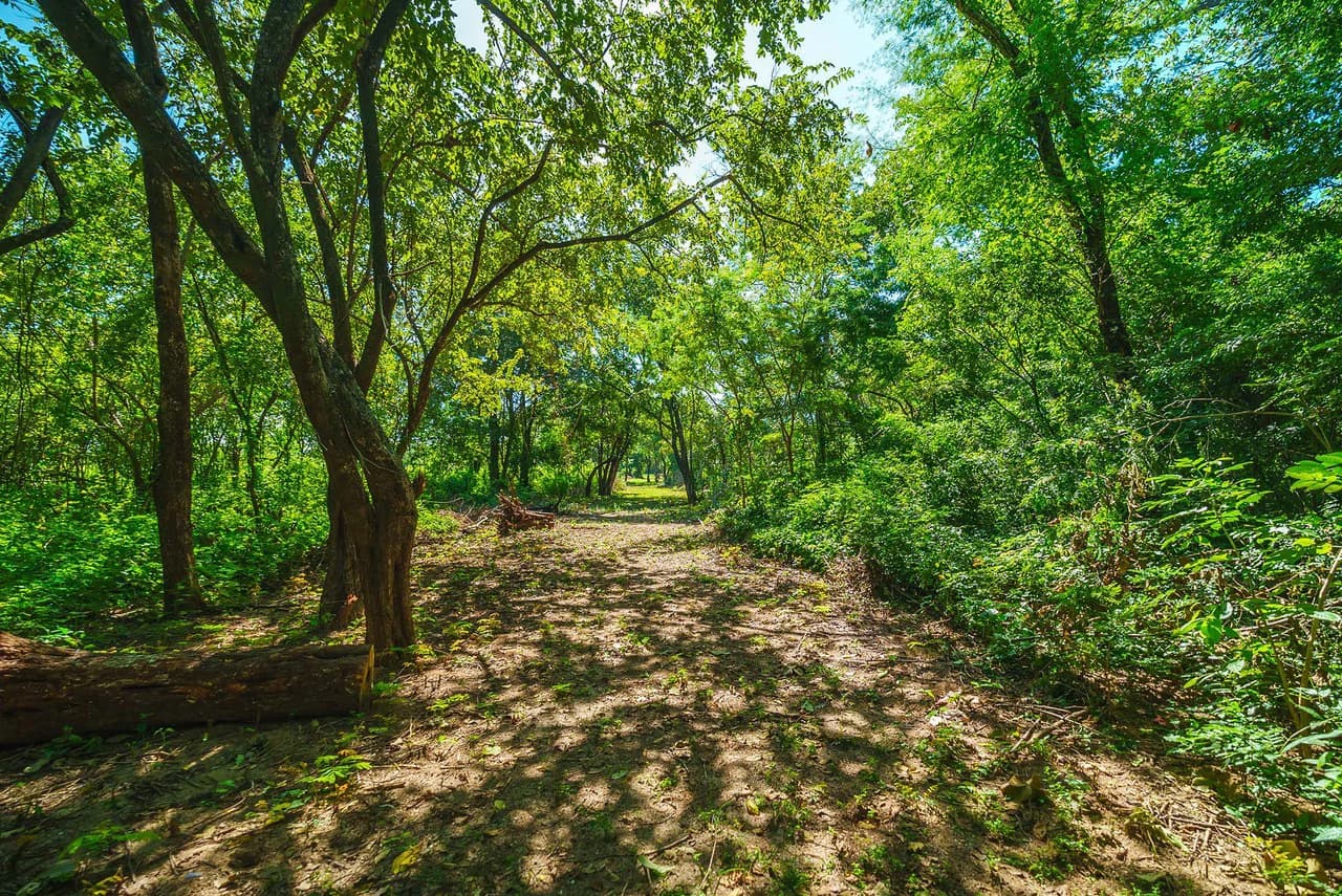 Playa Grande Beachfront Development Property - photo 20