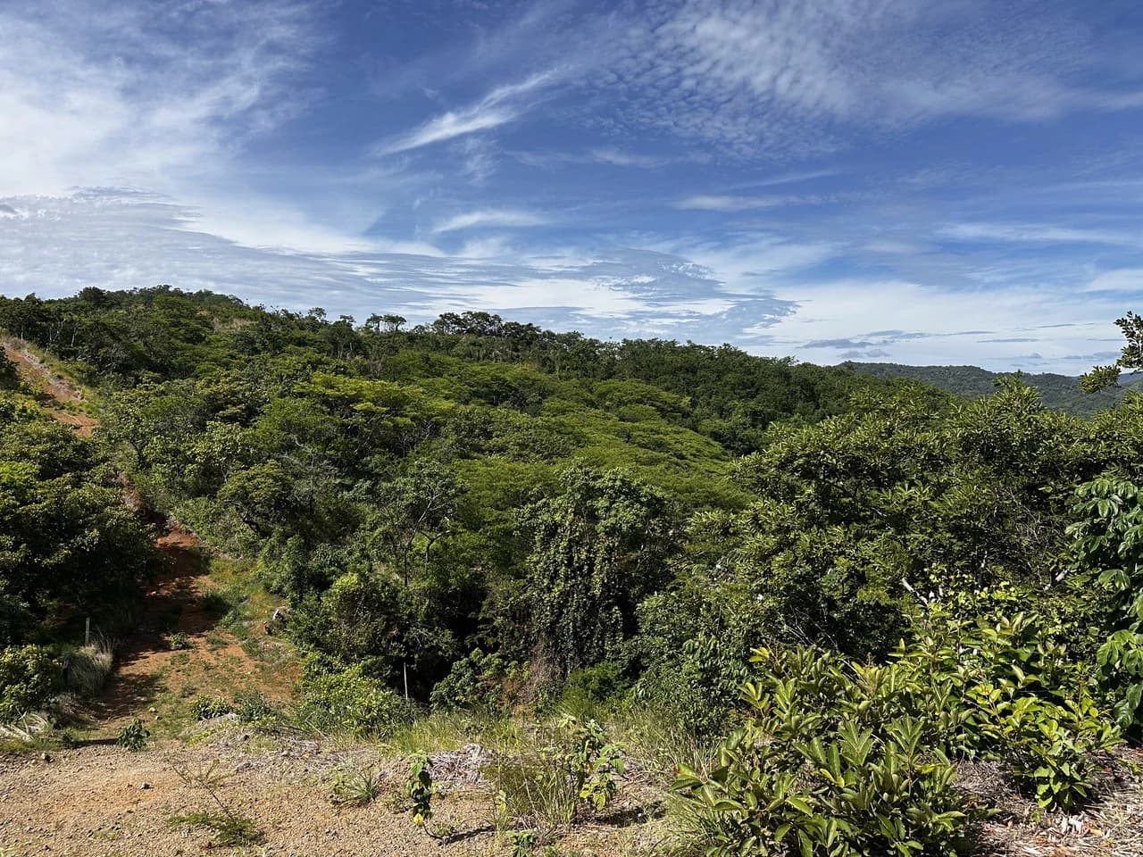 Ocean View Lot Negra Beach: Ocean View Hilltop Lot In Negra Beach, Finca Los Pargos - photo 5